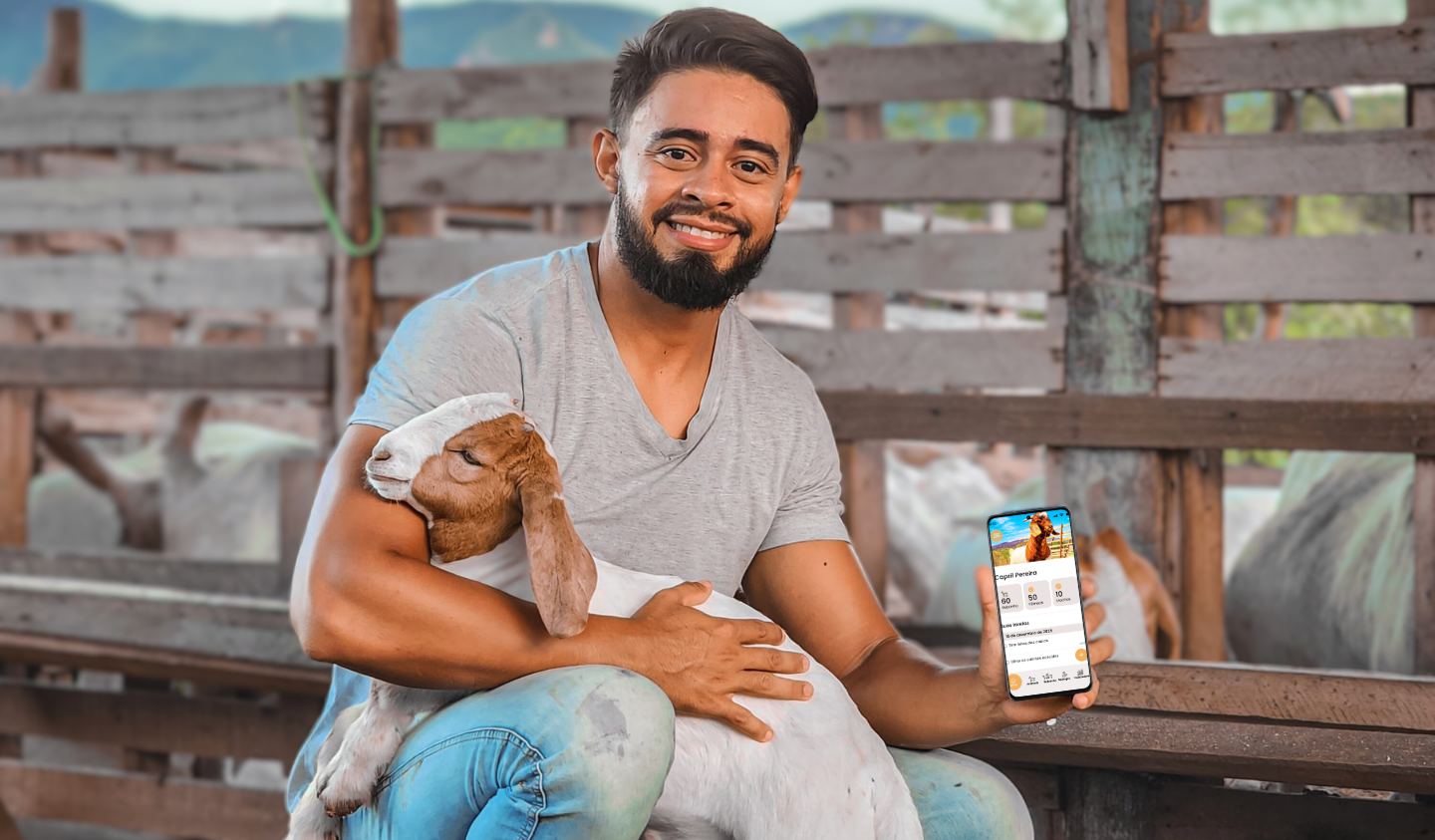 Fazenda com gado